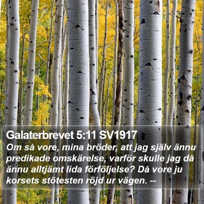 Galaterbrevet 5:11 SV1917 Bible Verse Image