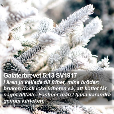 Galaterbrevet 5:13 SV1917 Bible Verse Image