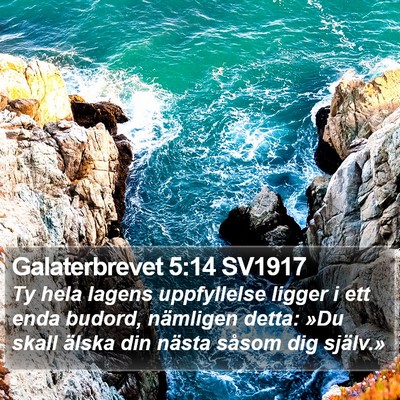 Galaterbrevet 5:14 SV1917 Bible Verse Image