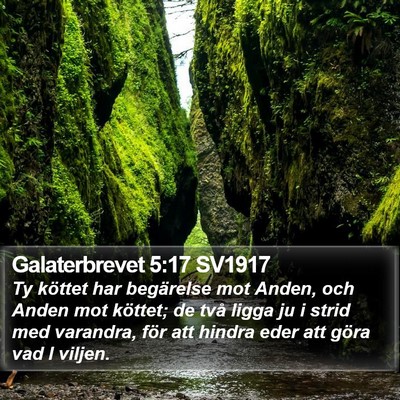 Galaterbrevet 5:17 SV1917 Bible Verse Image