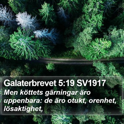 Galaterbrevet 5:19 SV1917 Bible Verse Image