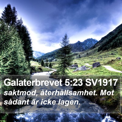 Galaterbrevet 5:23 SV1917 Bible Verse Image