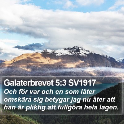 Galaterbrevet 5:3 SV1917 Bible Verse Image