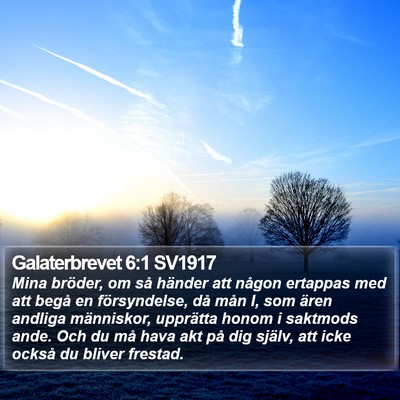 Galaterbrevet 6:1 SV1917 Bible Verse Image