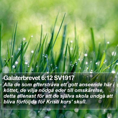 Galaterbrevet 6:12 SV1917 Bible Verse Image