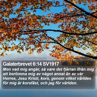 Galaterbrevet 6:14 SV1917 Bible Verse Image