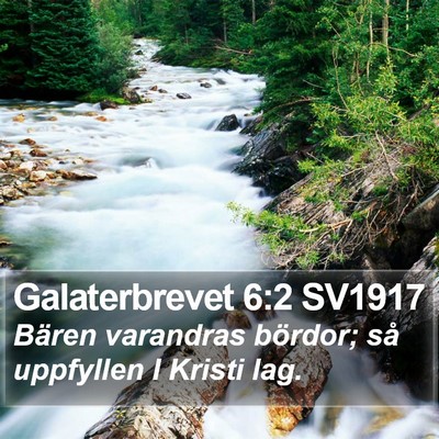 Galaterbrevet 6:2 SV1917 Bible Verse Image