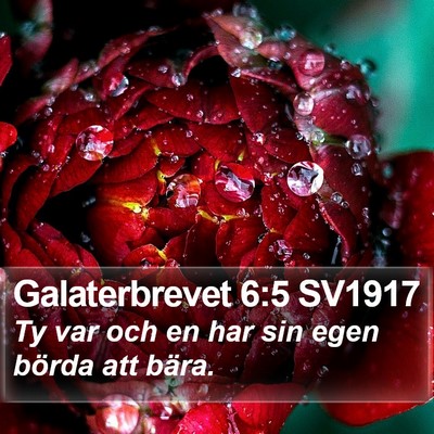 Galaterbrevet 6:5 SV1917 Bible Verse Image
