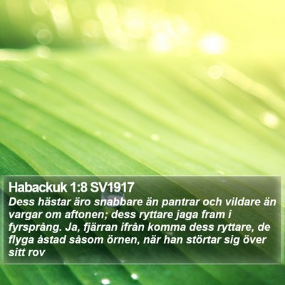Habackuk 1:8 SV1917 Bible Verse Image