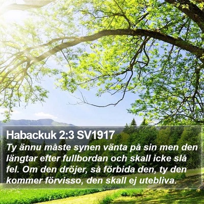 Habackuk 2:3 SV1917 Bible Verse Image