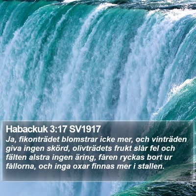 Habackuk 3:17 SV1917 Bible Verse Image