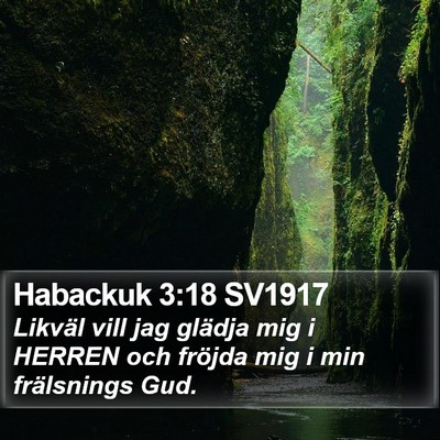 Habackuk 3:18 SV1917 Bible Verse Image