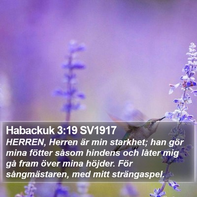 Habackuk 3:19 SV1917 Bible Verse Image
