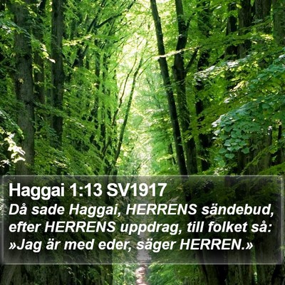 Haggai 1:13 SV1917 Bible Verse Image
