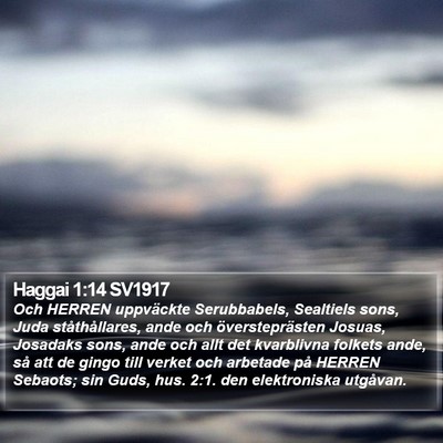 Haggai 1:14 SV1917 Bible Verse Image