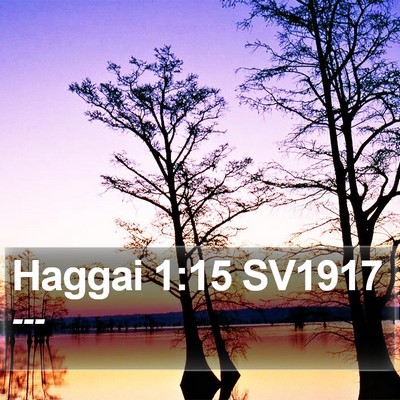 Haggai 1:15 SV1917 Bible Verse Image