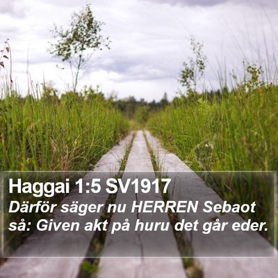Haggai 1:5 SV1917 Bible Verse Image