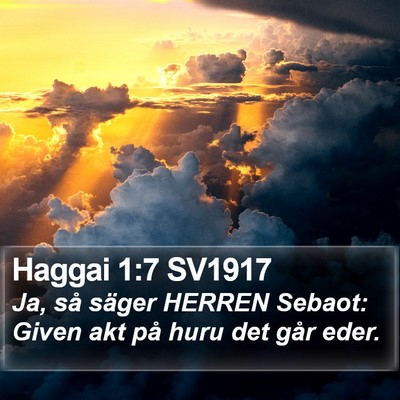 Haggai 1:7 SV1917 Bible Verse Image