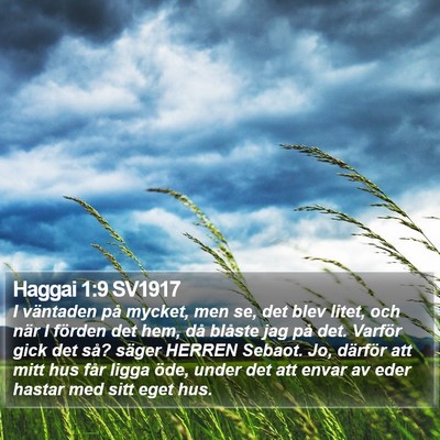 Haggai 1:9 SV1917 Bible Verse Image