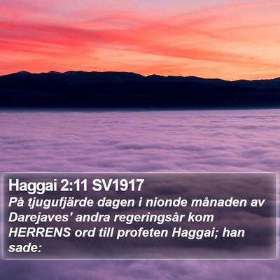 Haggai 2:11 SV1917 Bible Verse Image