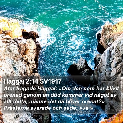 Haggai 2:14 SV1917 Bible Verse Image