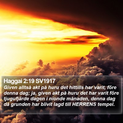 Haggai 2:19 SV1917 Bible Verse Image