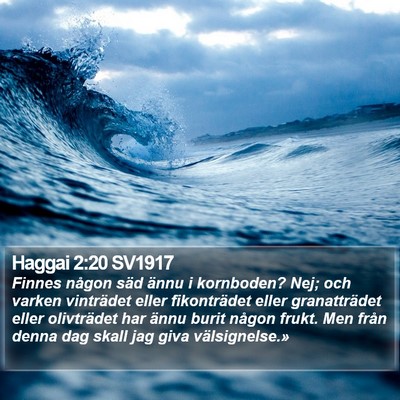 Haggai 2:20 SV1917 Bible Verse Image