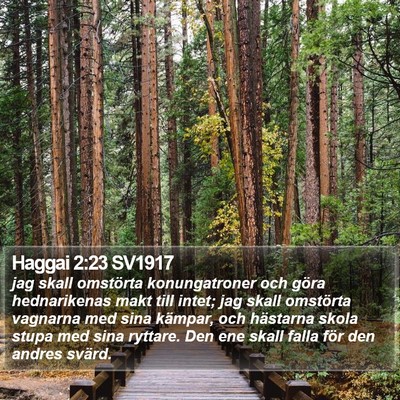 Haggai 2:23 SV1917 Bible Verse Image