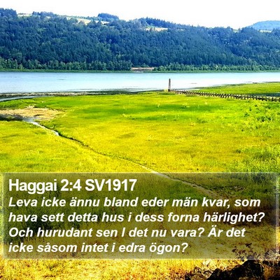 Haggai 2:4 SV1917 Bible Verse Image