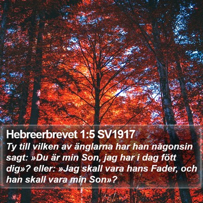 Hebreerbrevet 1:5 SV1917 Bible Verse Image
