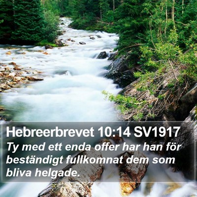 Hebreerbrevet 10:14 SV1917 Bible Verse Image