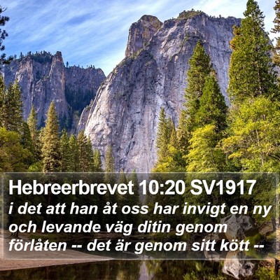 Hebreerbrevet 10:20 SV1917 Bible Verse Image