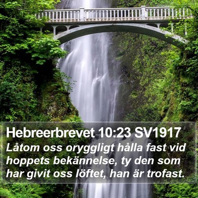 Hebreerbrevet 10:23 SV1917 Bible Verse Image