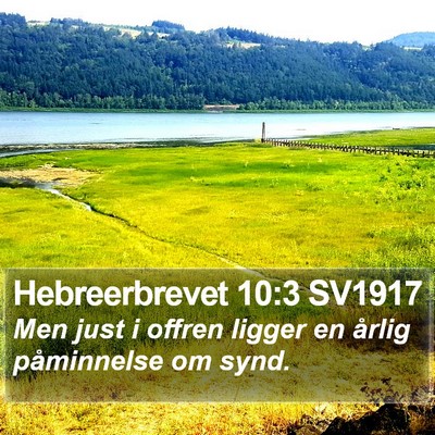Hebreerbrevet 10:3 SV1917 Bible Verse Image