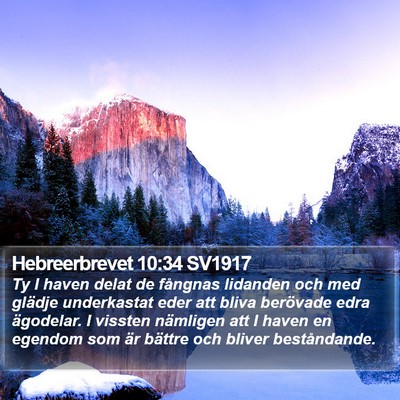 Hebreerbrevet 10:34 SV1917 Bible Verse Image