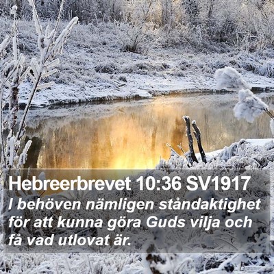 Hebreerbrevet 10:36 SV1917 Bible Verse Image