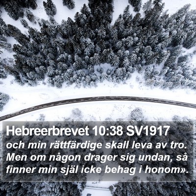 Hebreerbrevet 10:38 SV1917 Bible Verse Image
