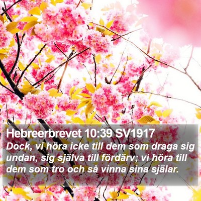 Hebreerbrevet 10:39 SV1917 Bible Verse Image