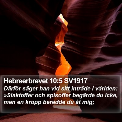 Hebreerbrevet 10:5 SV1917 Bible Verse Image