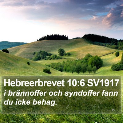 Hebreerbrevet 10:6 SV1917 Bible Verse Image