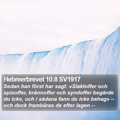 Hebreerbrevet 10:8 SV1917 Bible Verse Image