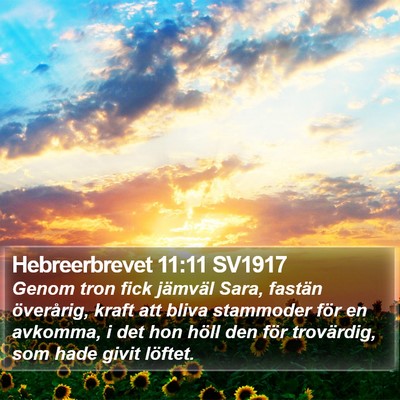 Hebreerbrevet 11:11 SV1917 Bible Verse Image