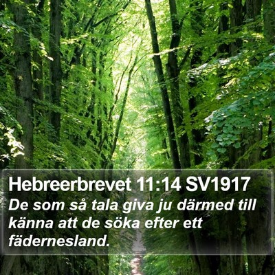 Hebreerbrevet 11:14 SV1917 Bible Verse Image