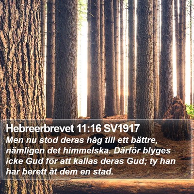 Hebreerbrevet 11:16 SV1917 Bible Verse Image