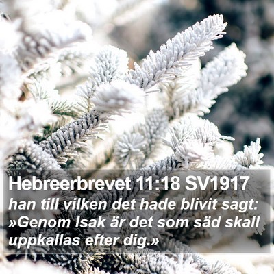Hebreerbrevet 11:18 SV1917 Bible Verse Image