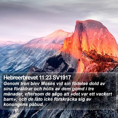 Hebreerbrevet 11:23 SV1917 Bible Verse Image