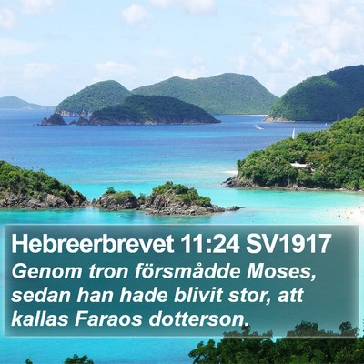 Hebreerbrevet 11:24 SV1917 Bible Verse Image