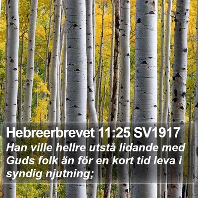 Hebreerbrevet 11:25 SV1917 Bible Verse Image