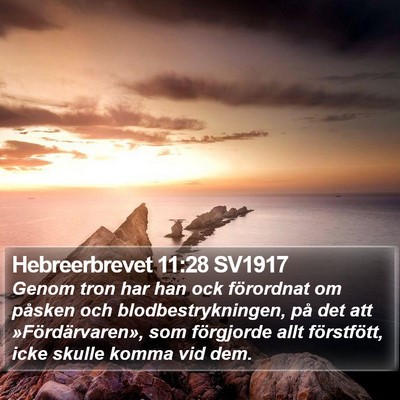 Hebreerbrevet 11:28 SV1917 Bible Verse Image