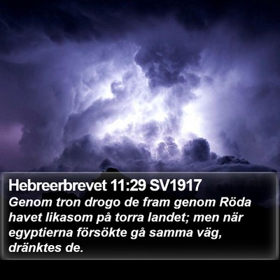 Hebreerbrevet 11:29 SV1917 Bible Verse Image